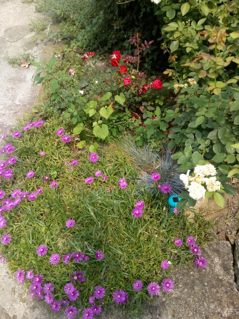 Beograd - Apartman "Gardos" 외부 사진